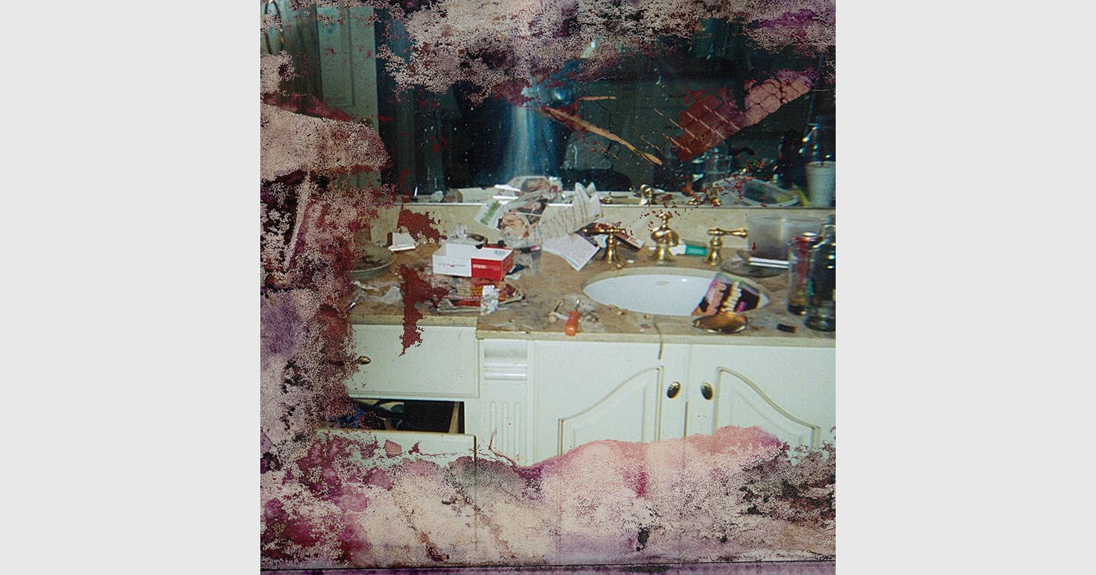 Kanye Paid 85k For Photo Of Whitney Houston S Bathroom For