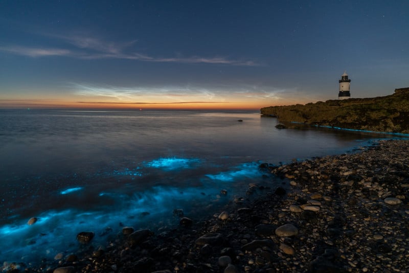 Photographer Captures the Beauty of Bioluminescent Plankton