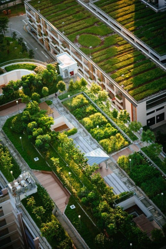 Singapore’s HDB carpark rooftops are starting to look more green, as the government starts to build landscaped public rooftop gardens which provide amenities (exercise equipment, playgrounds, gardens) and visual relief. National Development Minister Khaw Boon Wan was quoted on the developments: “… besides lowering the ambient temperature, (they are) pleasing to the eye.”