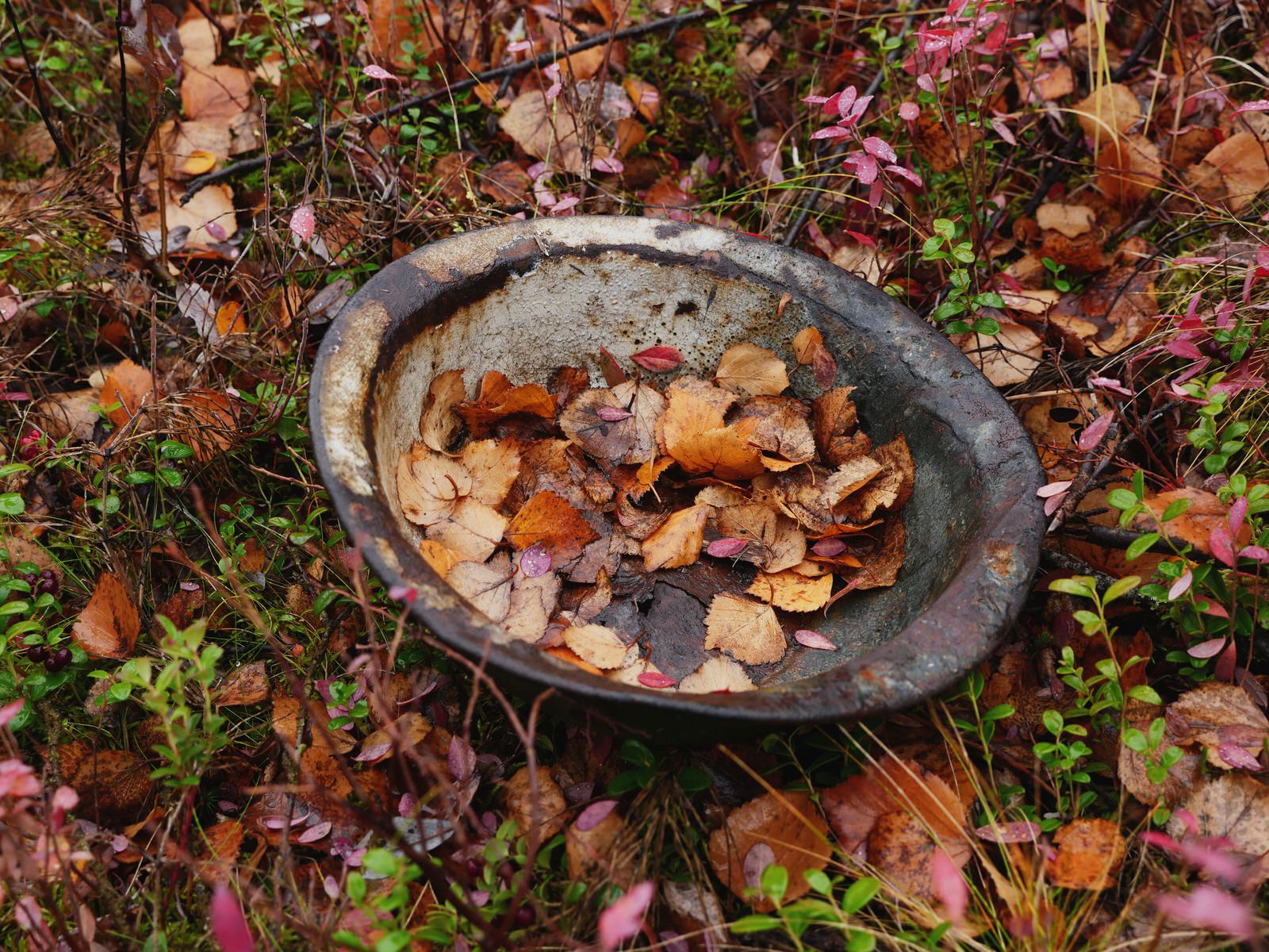 The Remains Of Stalin’s Dead Road | PetaPixel