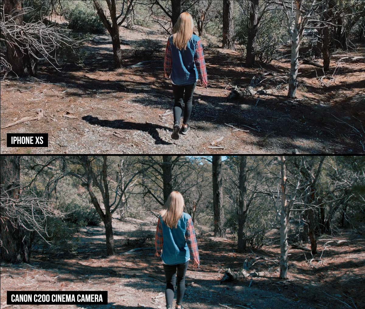 The iPhone XS vs a Cinema Camera: Can You Tell the Difference? | PetaPixel
