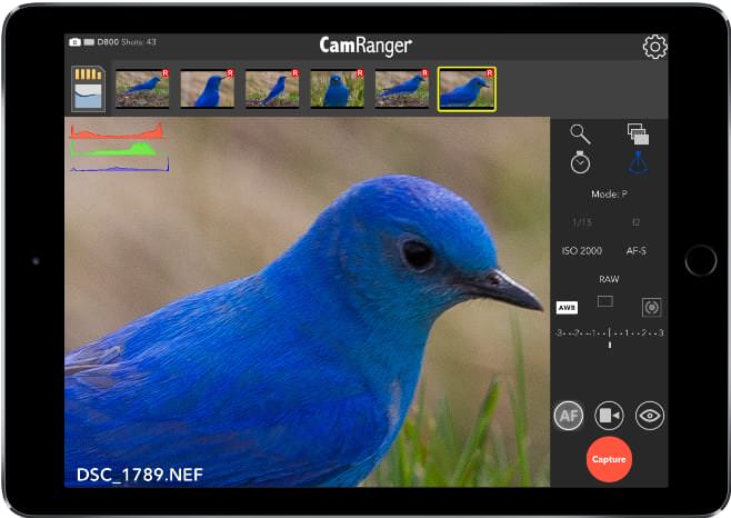 camranger screen snapshot