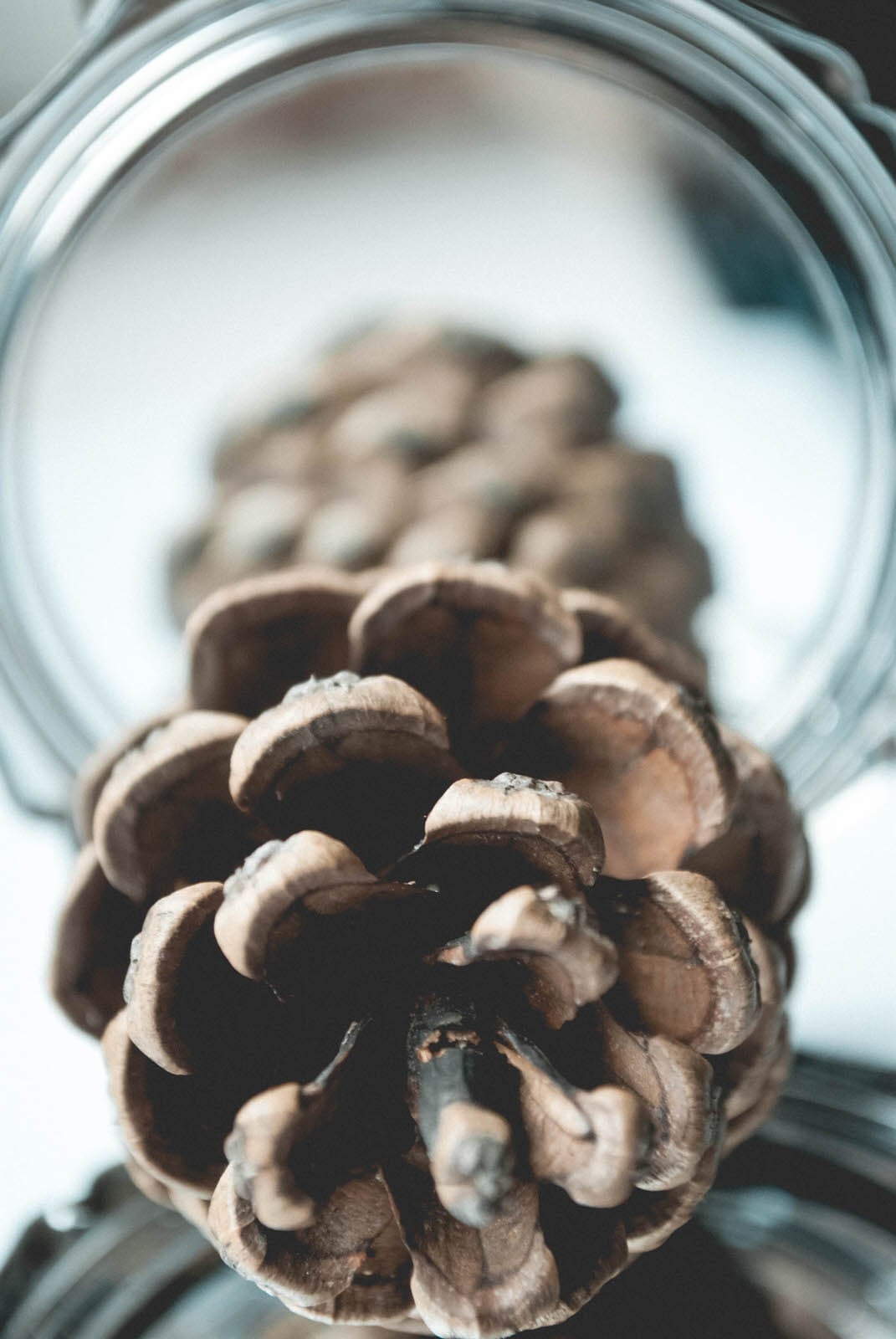 10 Ideas for Taking Amazing Photos of Boring Objects | PetaPixel