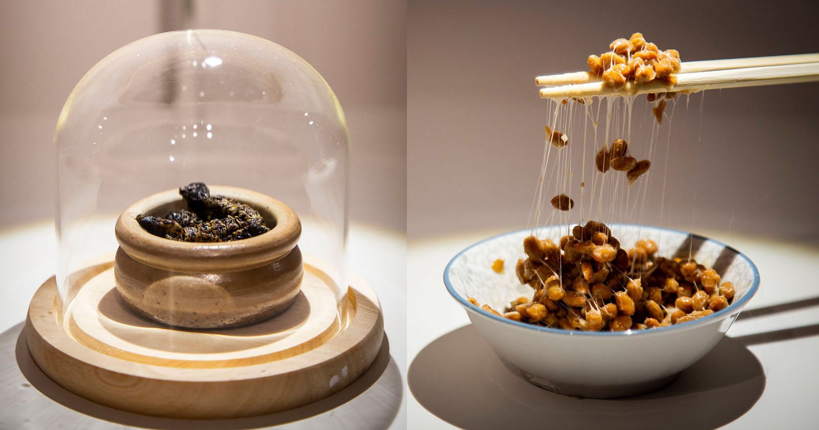 "Disgusting Food Museum": Kurioses Essen aus aller Welt in Schweden | STERN.de