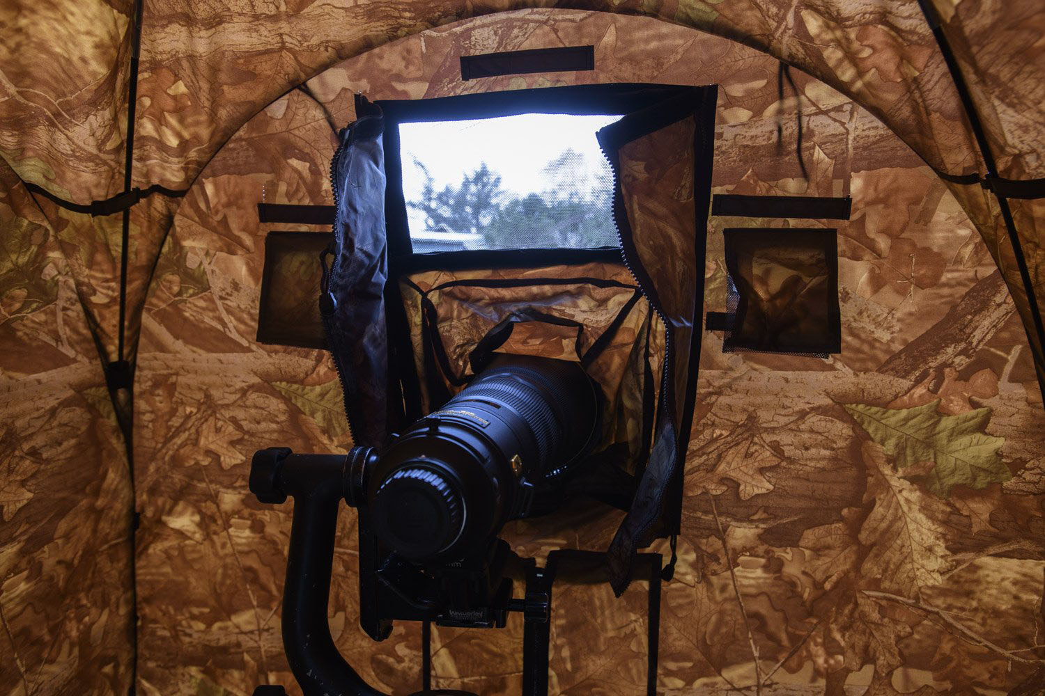 Tragopan Blinds Are Made Specifically for Wildlife Photographers