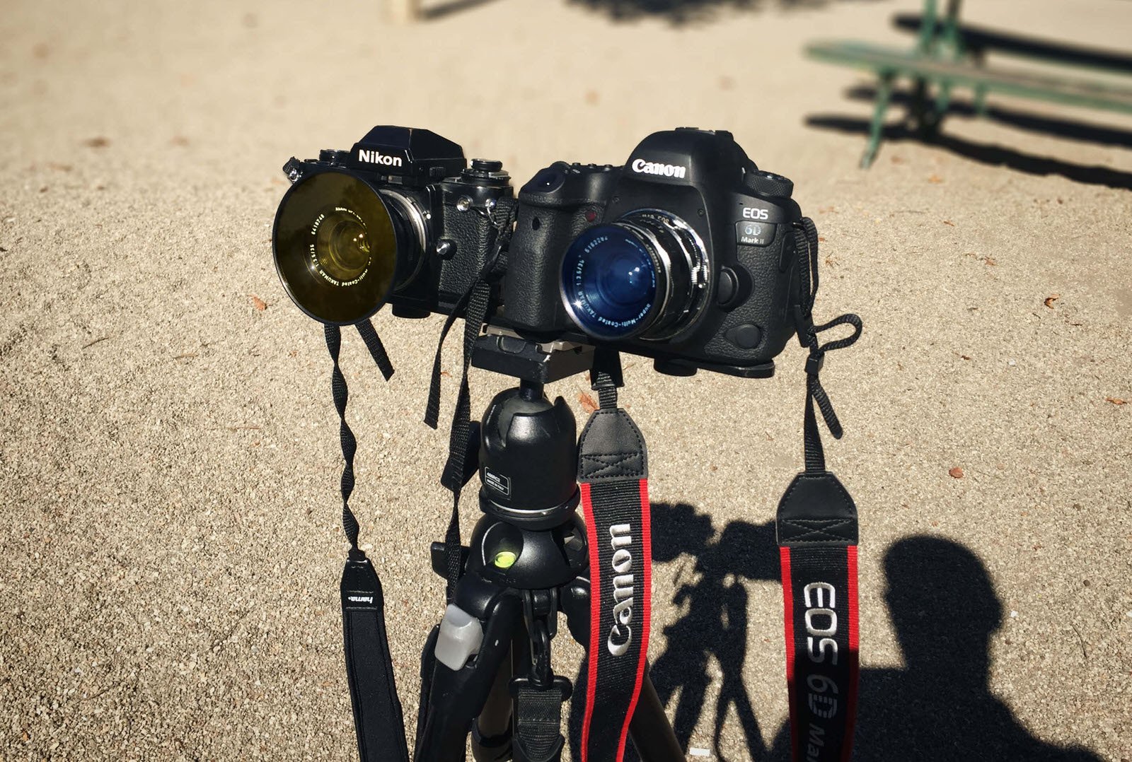 This Lens Filter Faithfully Recreates the Look of Kodak Aerochrome IR