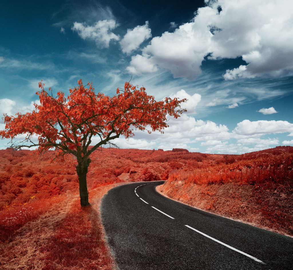 This Lens Filter Faithfully Recreates the Look of Kodak Aerochrome IR