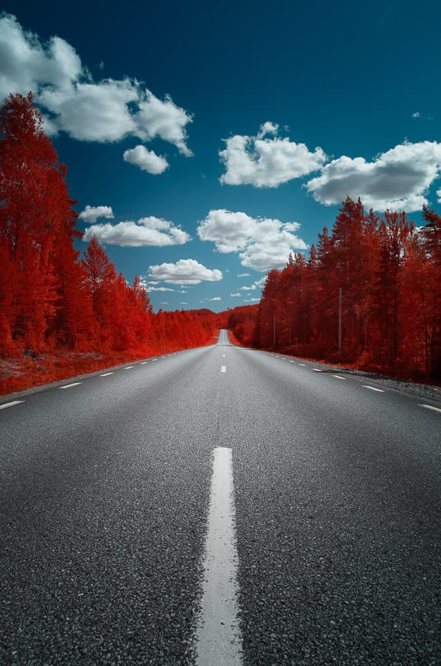 This Lens Filter Faithfully Recreates the Look of Kodak Aerochrome IR