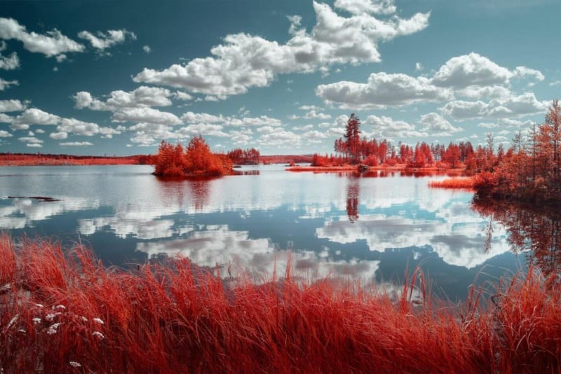 Filtro Infrarossi Aerocromatico North East Optics – IRchrome Per Fotografia Digitale