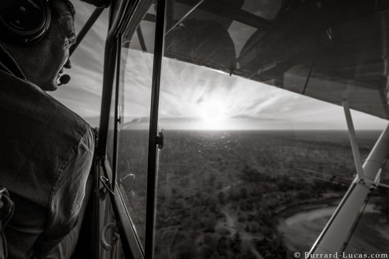 Shooting the Last Photos of the Rare 'Queen of the Elephants