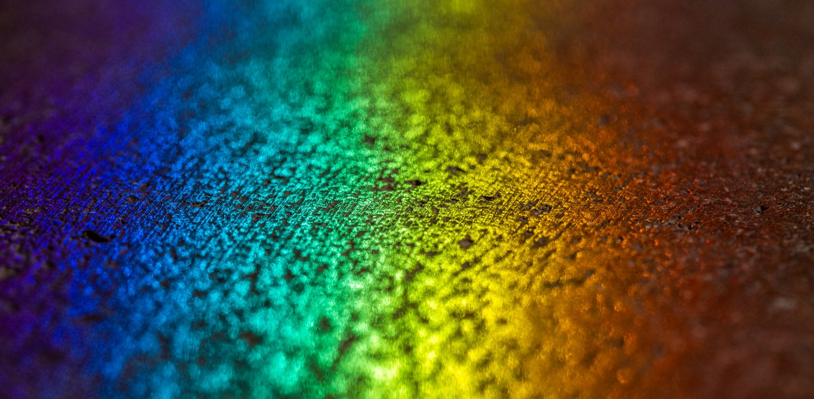 5 Macro Photo Ideas to Shoot at Home | PetaPixel