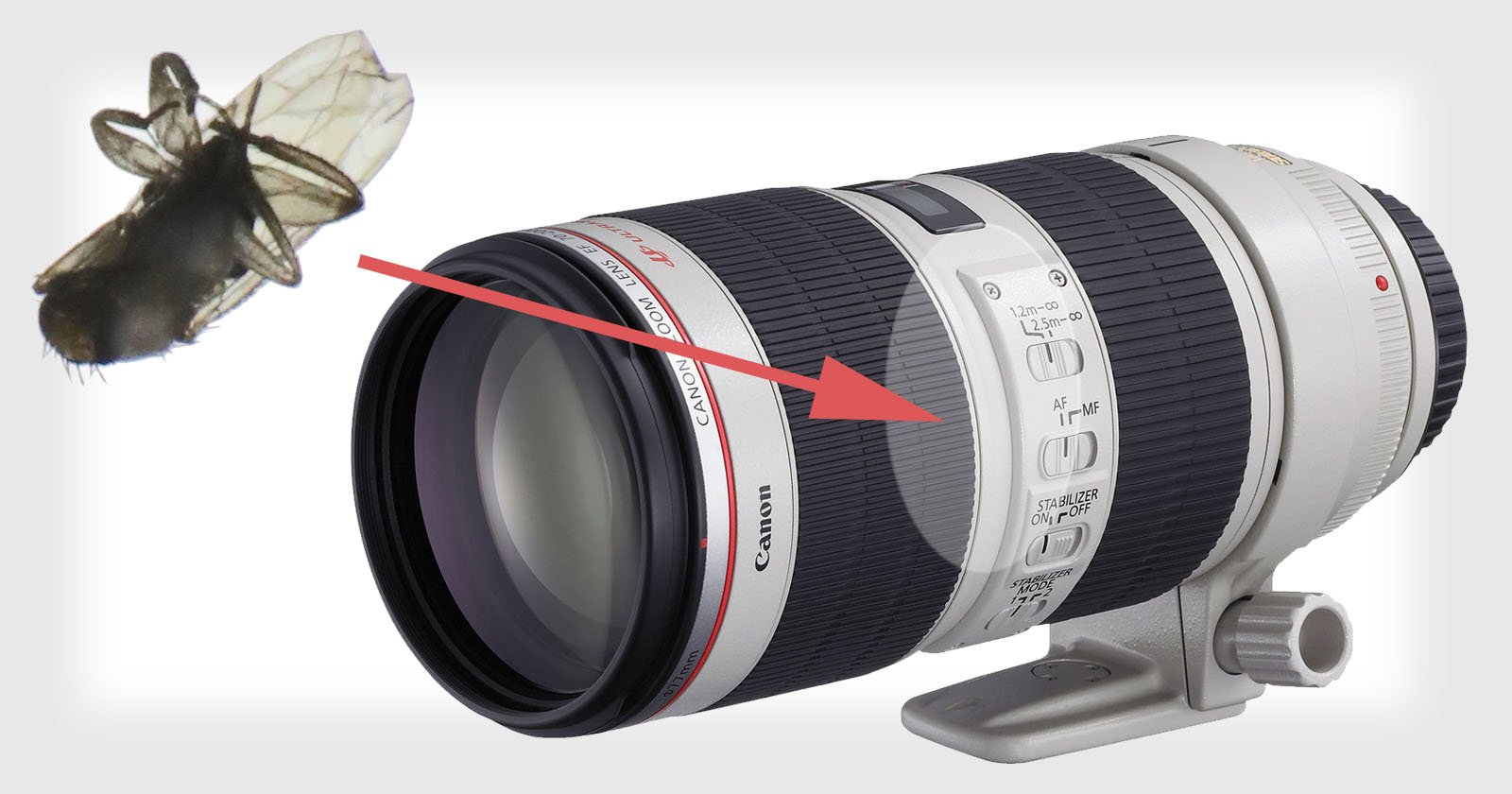 The Mystery Of The Fly In The 2 100 Weathersealed Lens