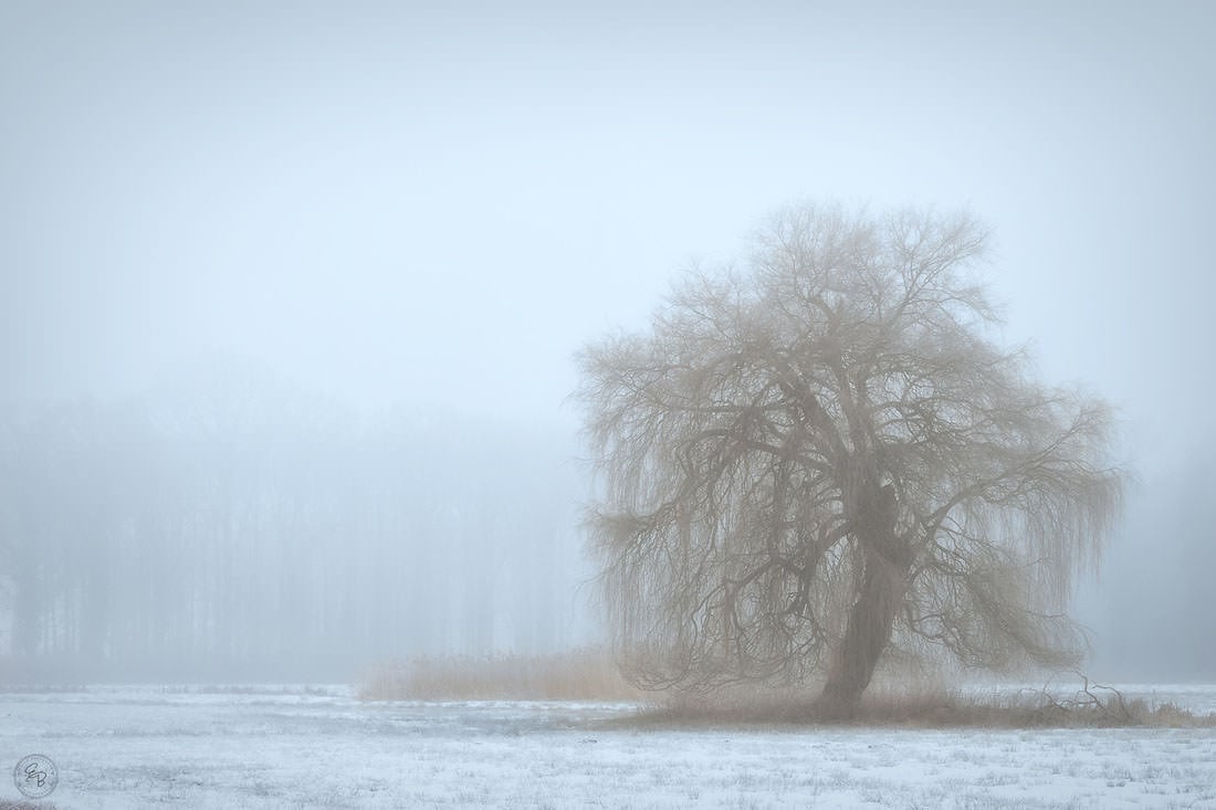 Low Contrast Photography And How To Correct It In Post Processing 