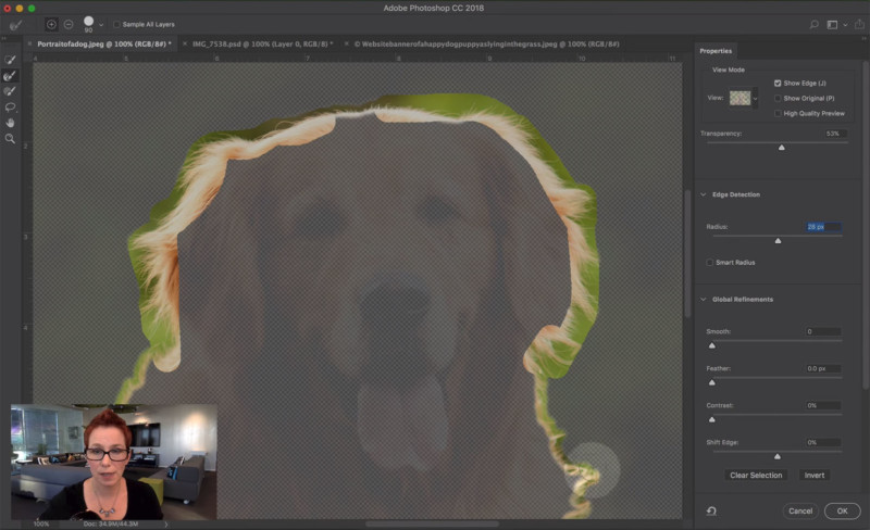 how to refine edges in photoshop cc