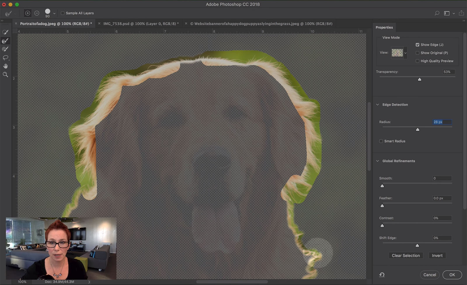 A 1Minute Intro to Using Refine Edge Brush PetaPixel
