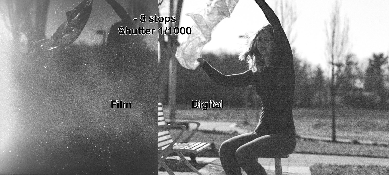 Film Vs. Digital: This Is How Dynamic Range Compares | PetaPixel