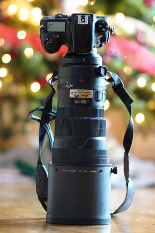 Gedehams pisk Temerity Long-Term Review: The Nikon 300mm f/2.8 VR is an Ultimate Bokeh Lens |  PetaPixel