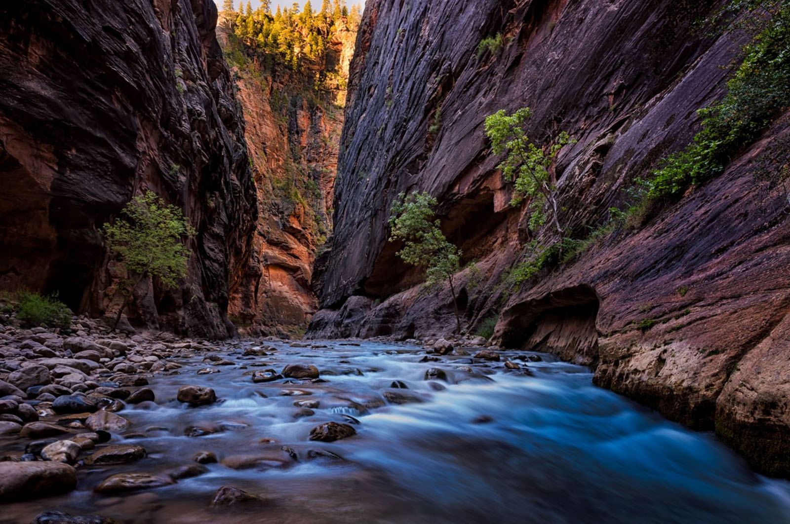Photographers, We Need to Put Nature First | PetaPixel