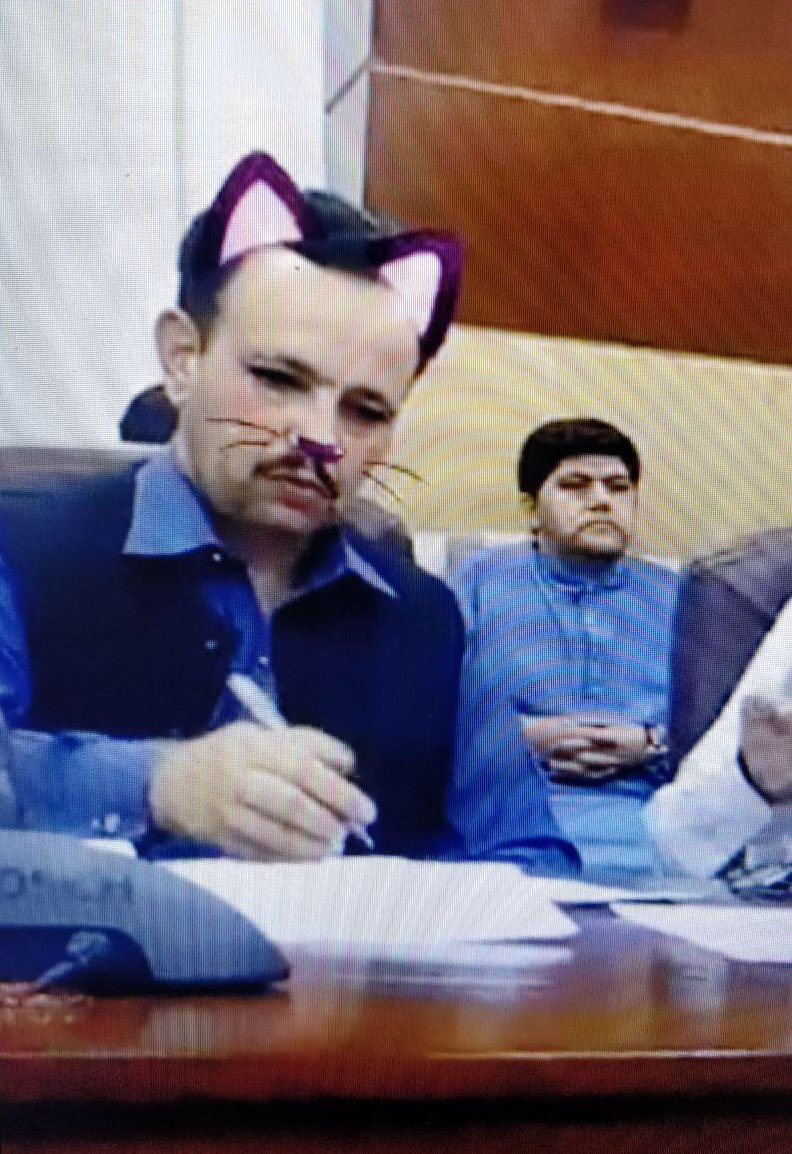 Pakistani Official Accidentally Uses Cat Filter During Live Press
