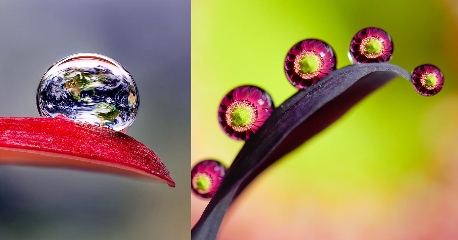 Shooting Water Droplet Refractions For Magical Macro Photos Petapixel