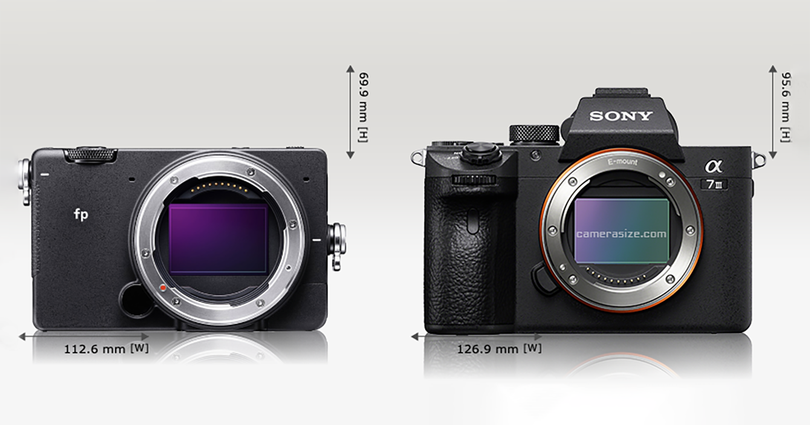 Kaal handboeien Marine Size Comparison: Sigma fp vs Sony, Nikon, Canon and Panasonic | PetaPixel