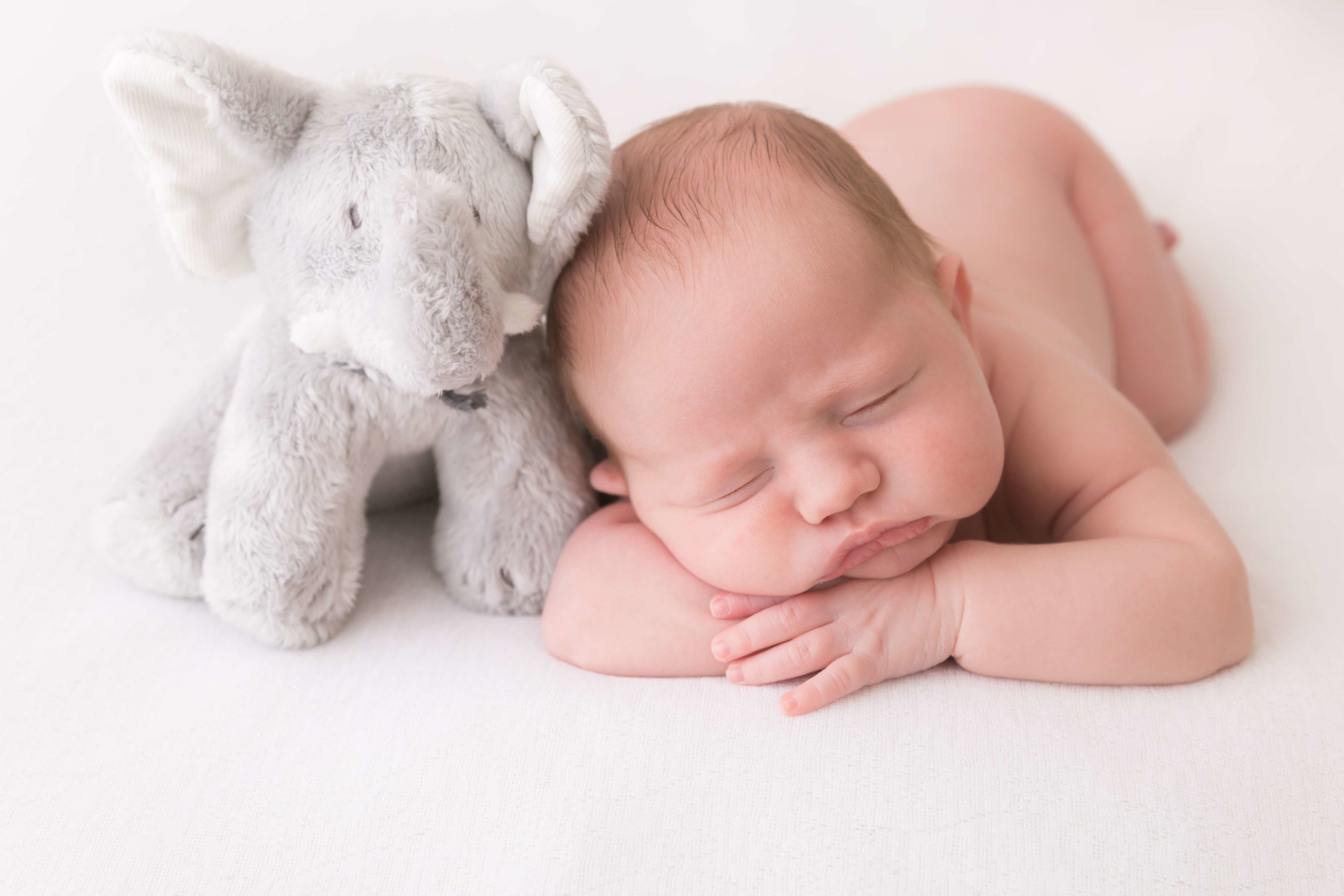 The Importance of Hiring a Trained Newborn Photographer