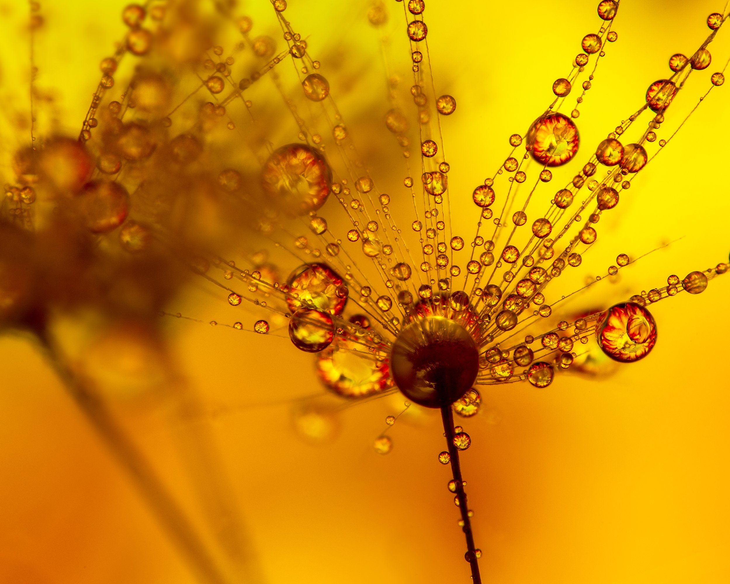 water drops on glass photography