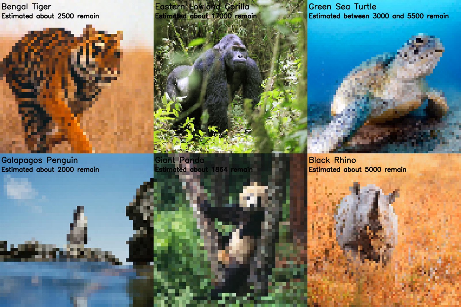 endangered and extinct species of animals