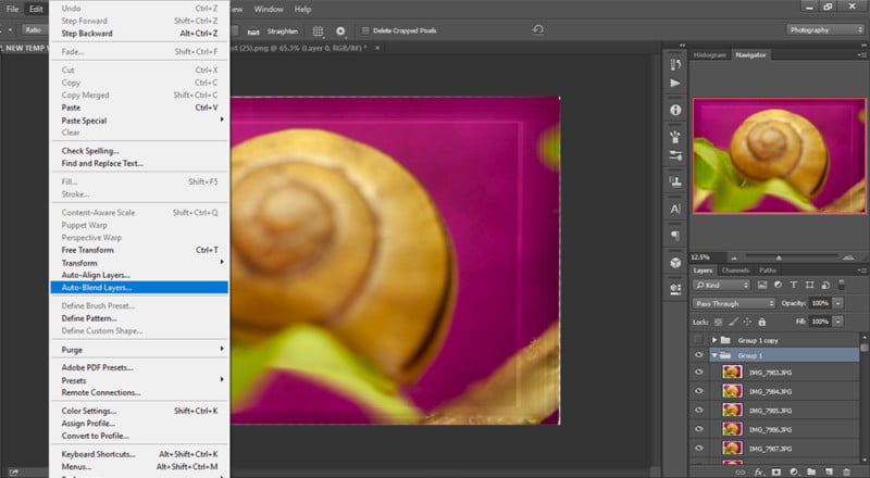 How to Create a Focus Stack in Photoshop | PetaPixel