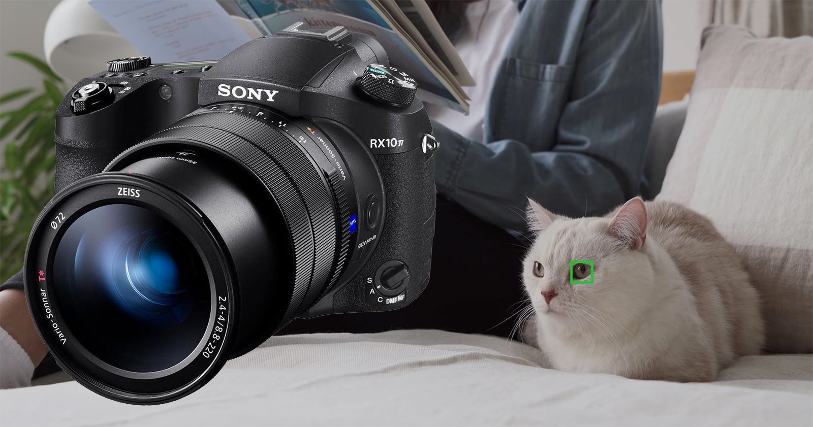 Free Update Adds Animal Eye AF to Sony RX10 IV | PetaPixel