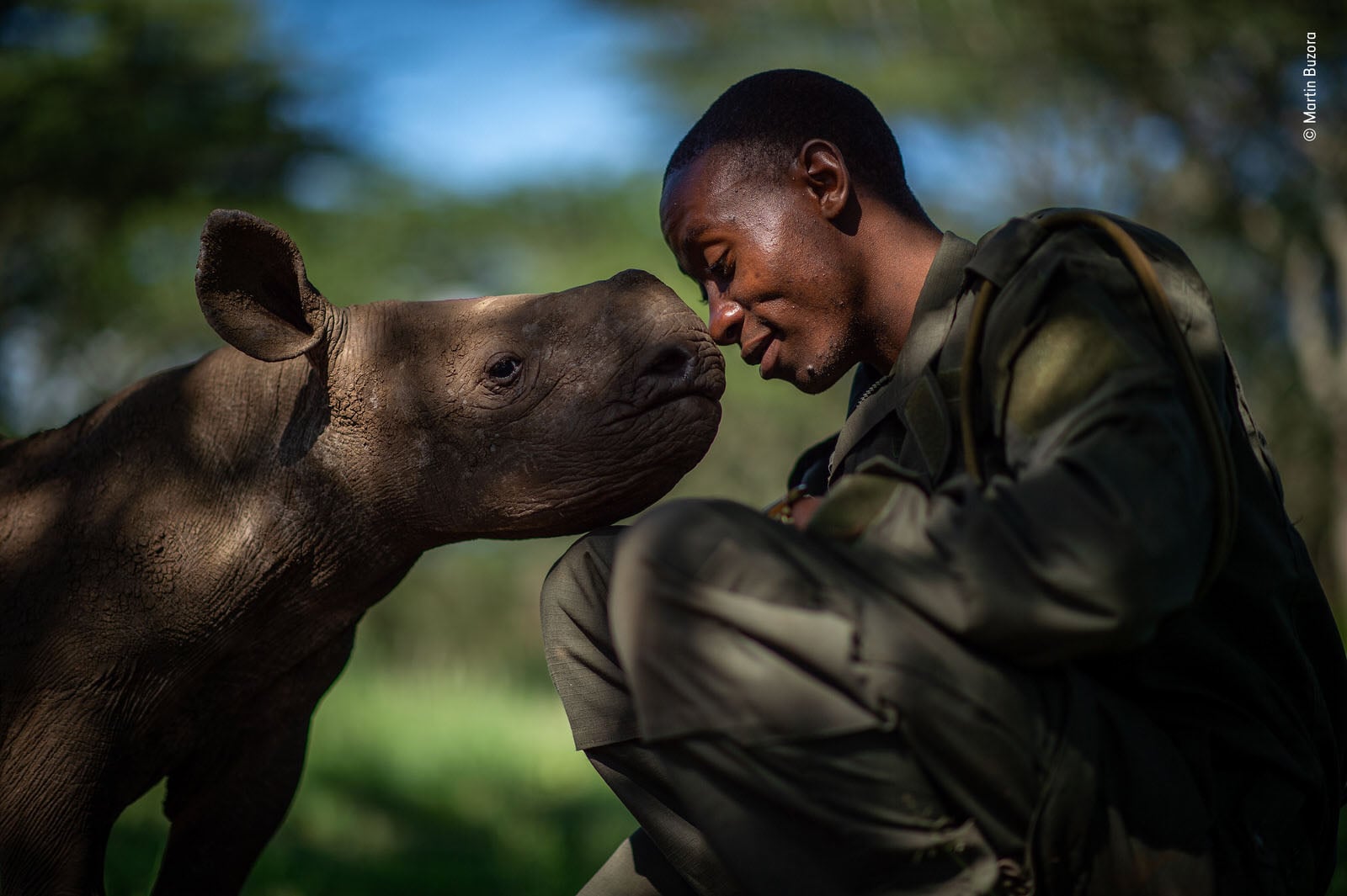 25 People's Choice Photos for Wildlife Photographer of the Year 2019 ...
