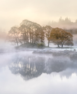 How Understanding Your Good or Bad Photos Can Improve Your Photography ...