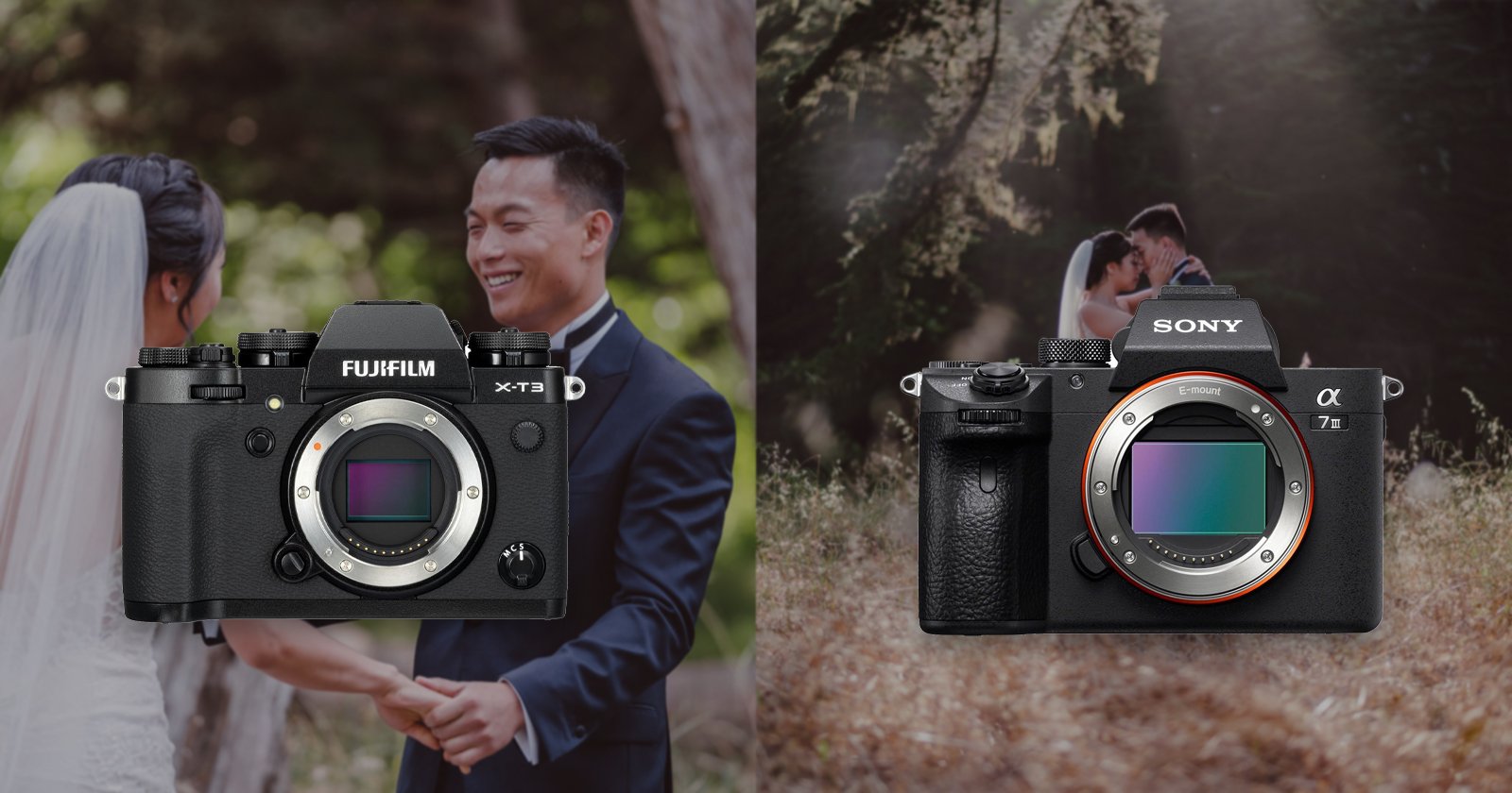 cabina Hueco Chicle Sony a7III vs Fuji X-T3: Real World Wedding Photography Comparison |  PetaPixel