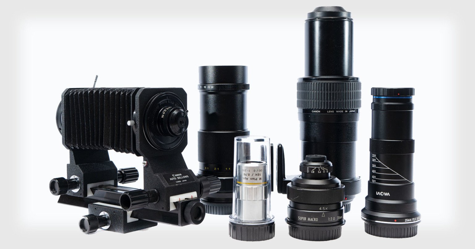 A Comparison of All High Magnification Camera Lenses PetaPixel