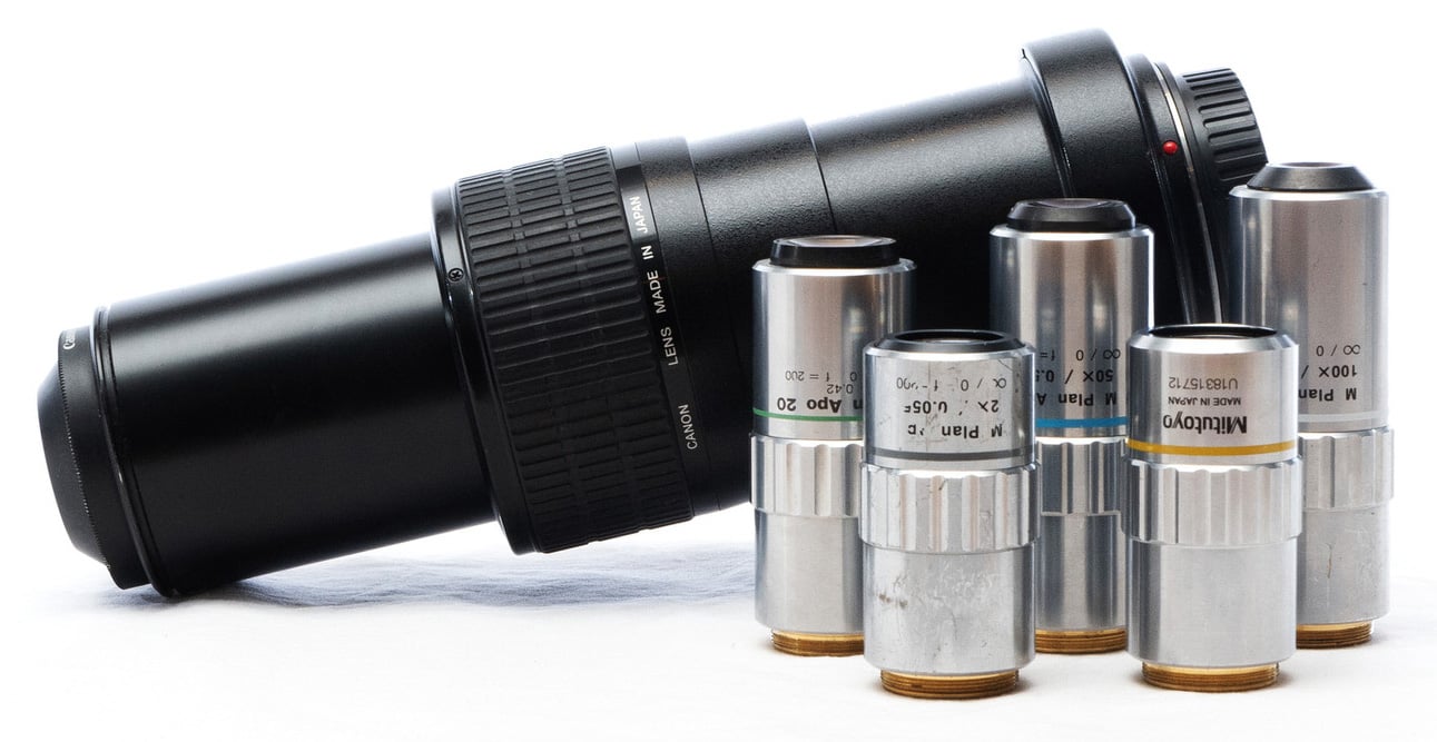 A Comparison of All High Magnification Camera Lenses PetaPixel