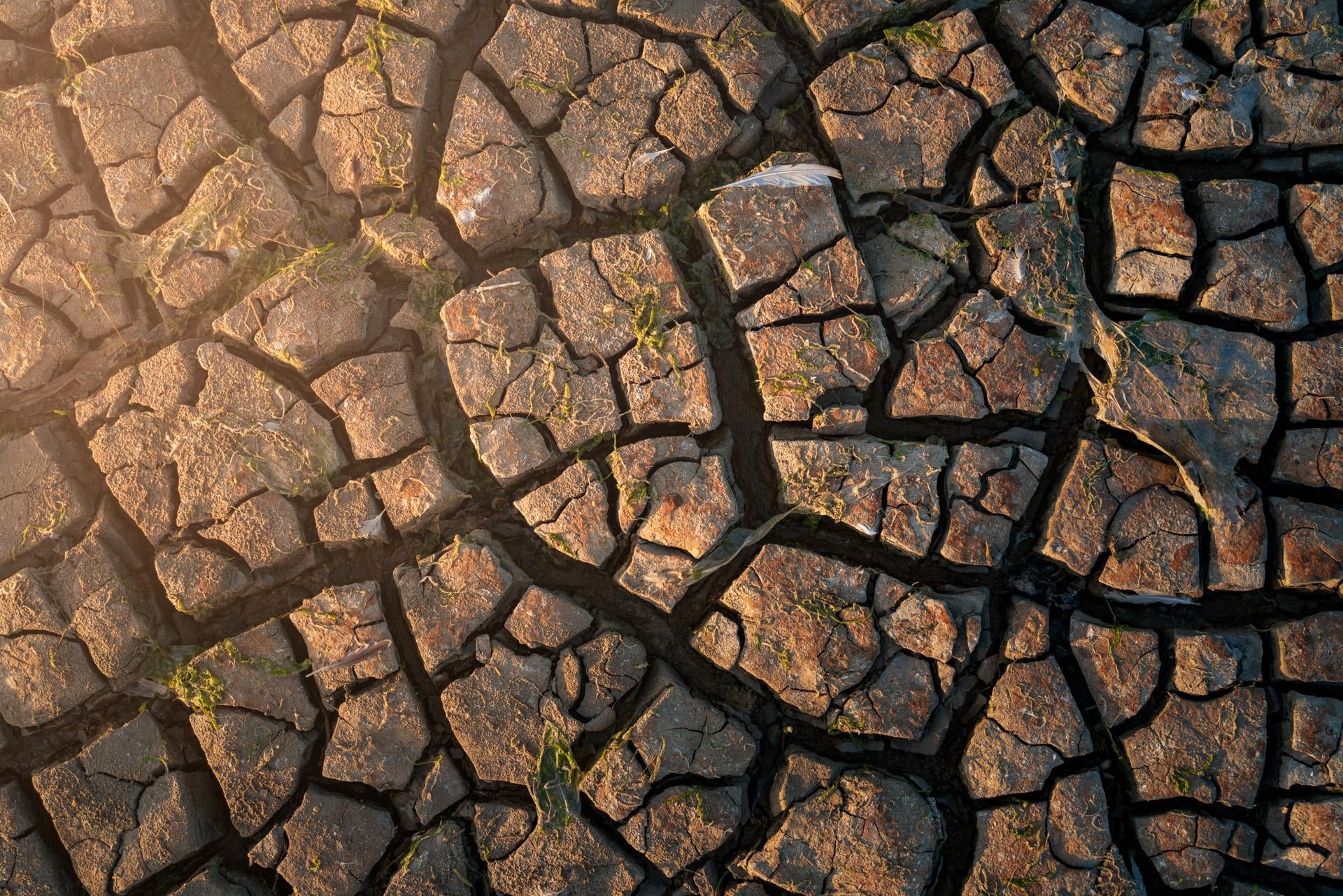 10 Tips for Photographing 'Abstract Landscapes' | PetaPixel