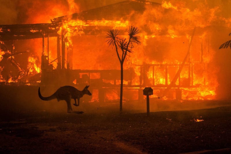 This is the Most Iconic Image of the Australian Wildfires