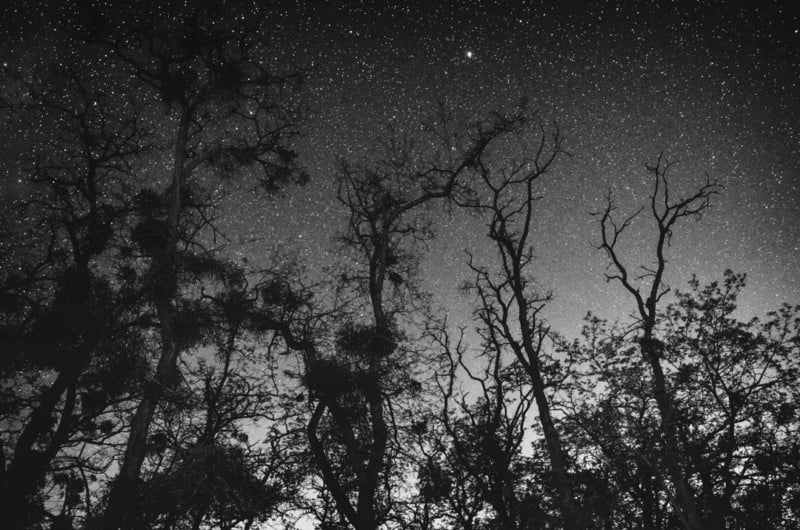 Night Sky Photos in the Style of 19th-Century Pictorialism | PetaPixel