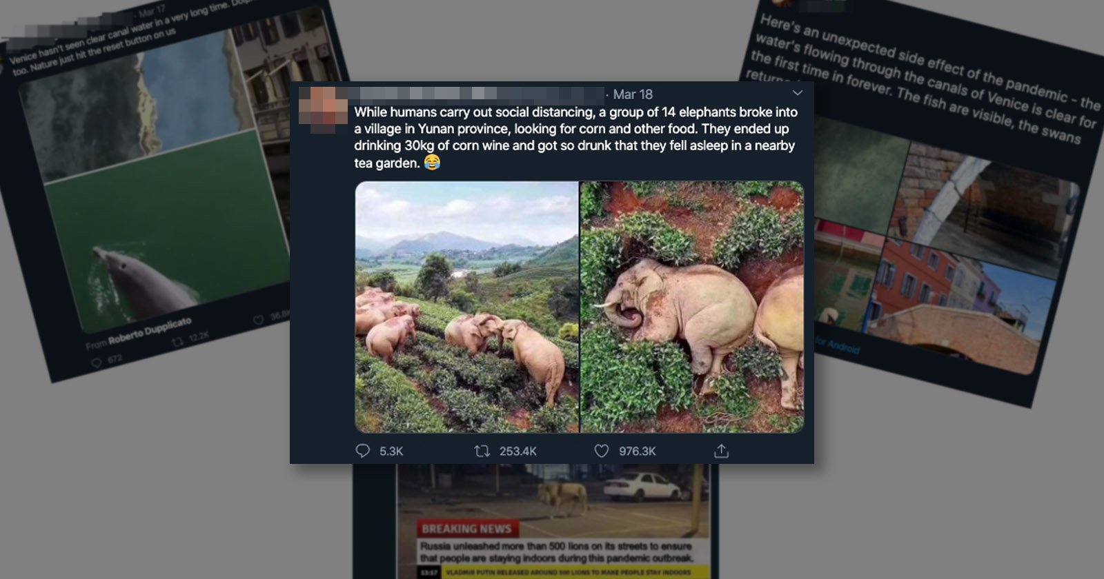 Nat Geo: Those Viral Animal Photos You've Been Seeing on Twitter are Fake |  PetaPixel