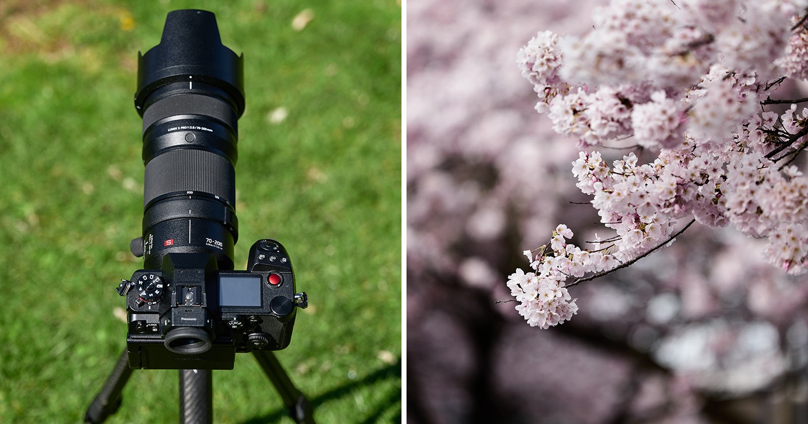 70-200 f2.8 Lens Size Comparison: Nikon vs Canon vs Sony vs Panasonic