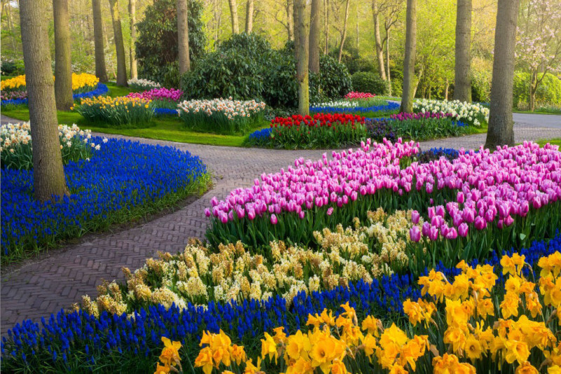 beautiful flower gardens of the world