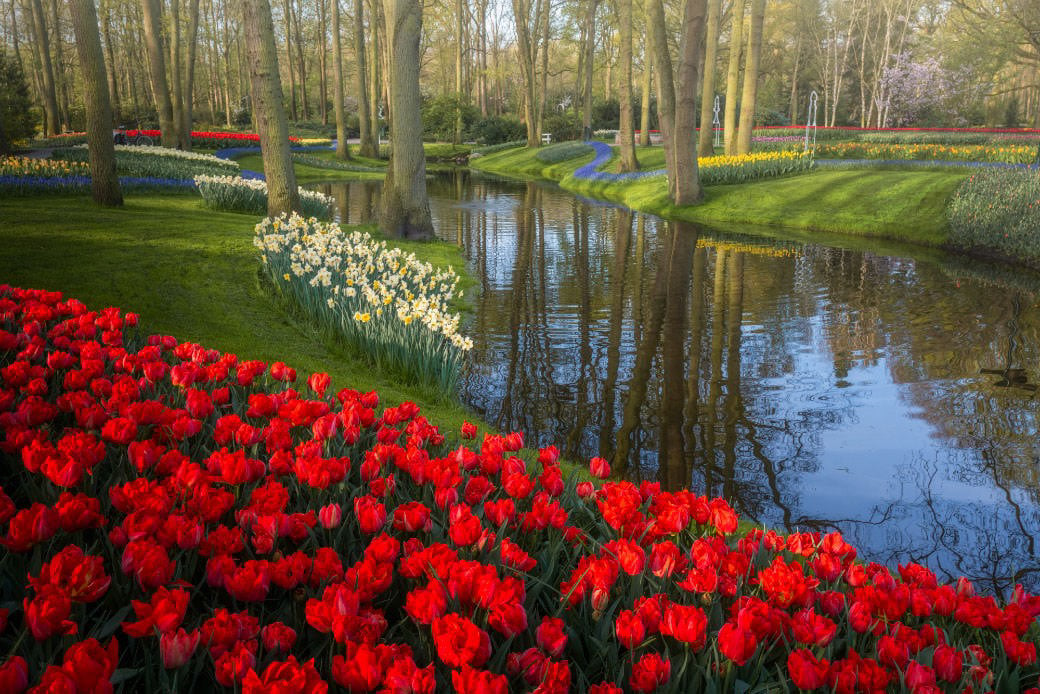 Le Jardin De Fleurs Les Plus Beaux Jardins De France - vrogue.co