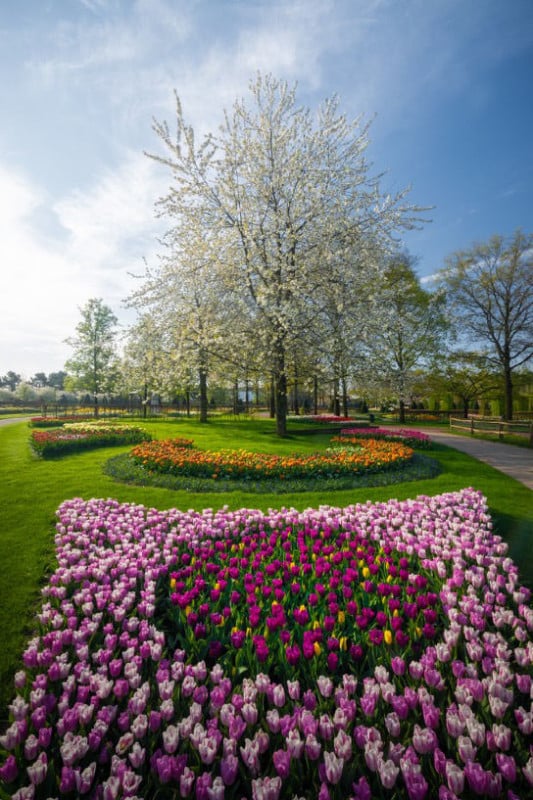 The Most Beautiful Flower Garden in the World, Without People