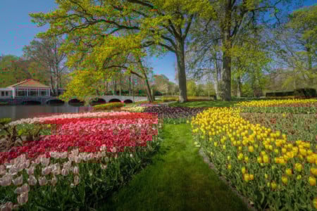 The Most Beautiful Flower Garden in the World, Without People