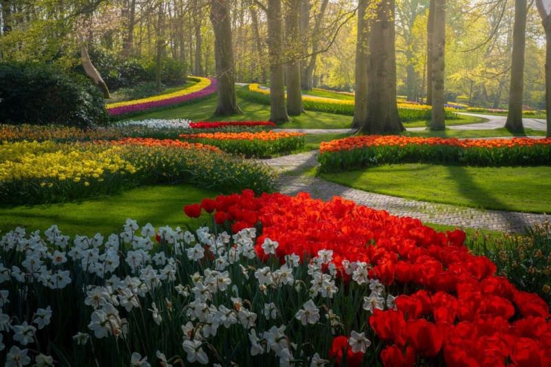 The Most Beautiful Flower Garden in the World, Without People