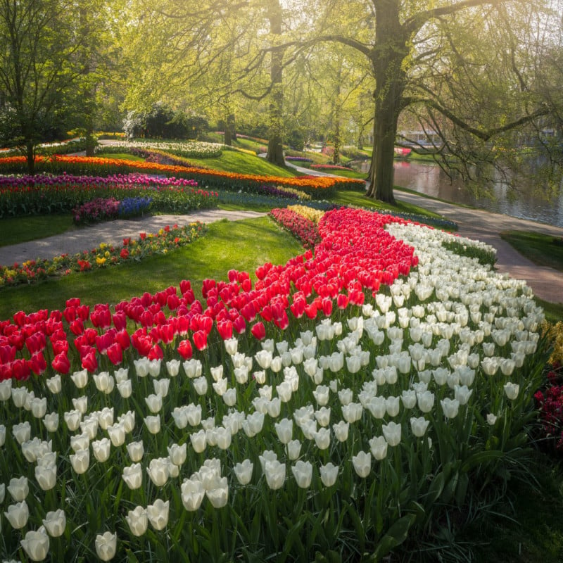 The Most Beautiful Flower Garden in the World, Without People