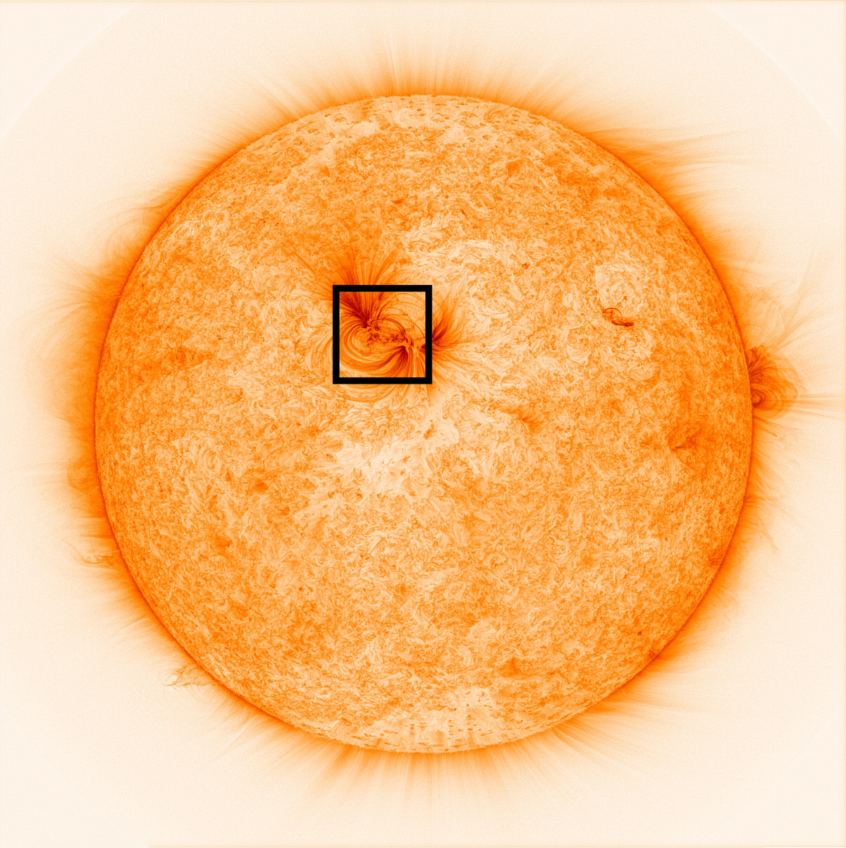 These Highest-Res Photos of the Sun's Atmosphere Show 'Magnetic Threads ...