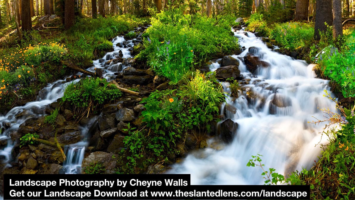Camera Basics: Understanding Shutter Speed | PetaPixel