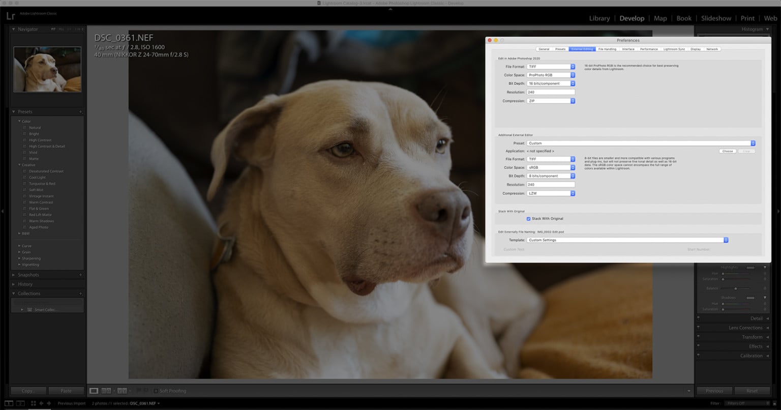 What is a TIFF File? Everything You Need to Know | PetaPixel