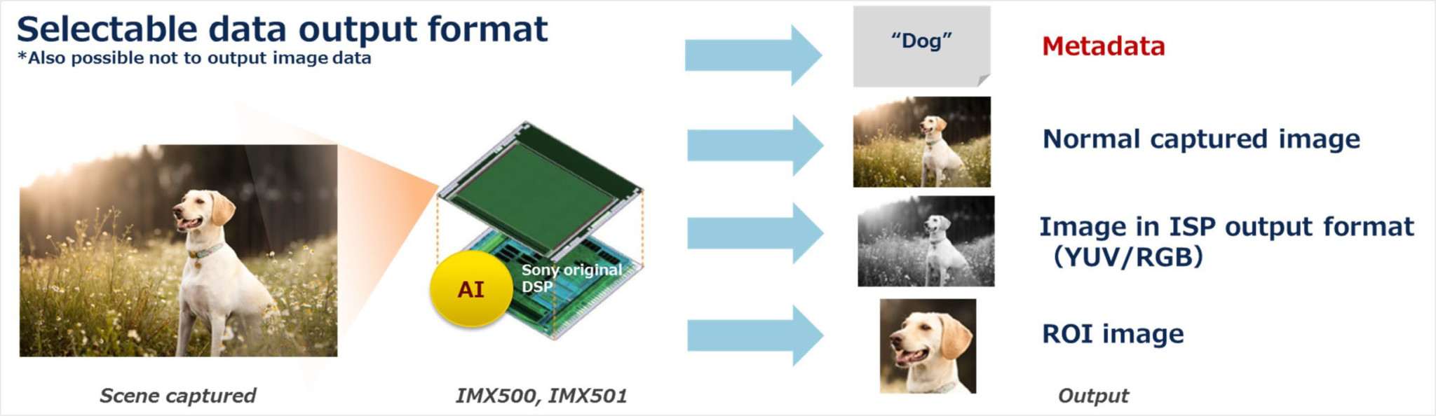 Sony Unveils the World's First Camera Sensors with Built-in AI | PetaPixel